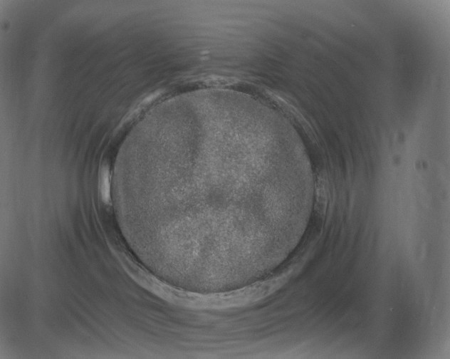 X0000084550046200703091731