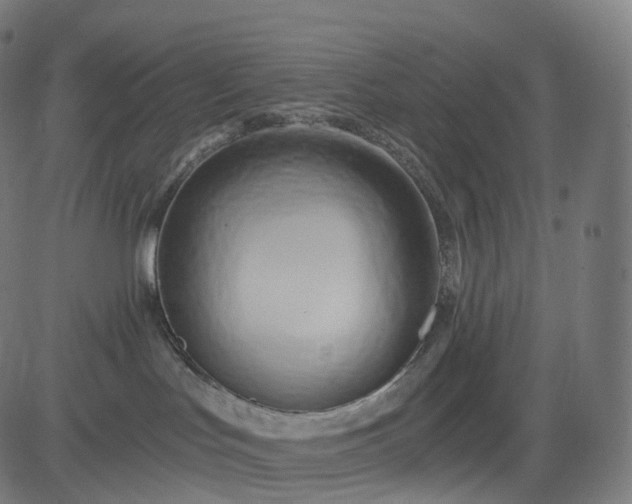 X0000084550047200703091731