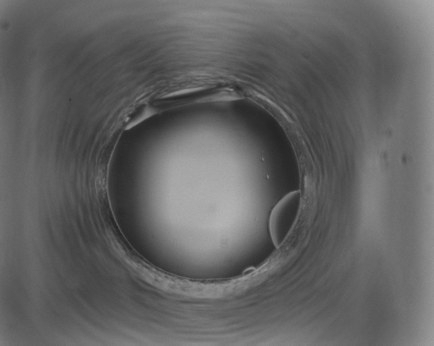 X0000084550048200703091730