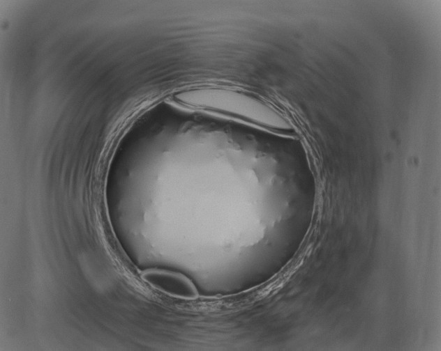 X0000084550049200703091730