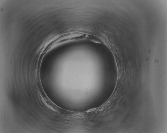 X0000084550050200703091730