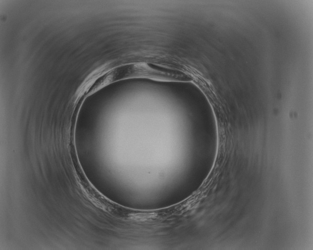 X0000084550051200703091730