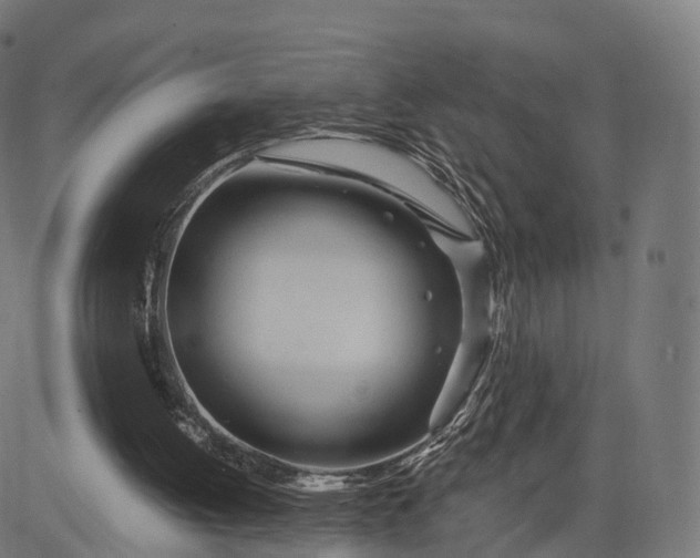 X0000084550052200703091730