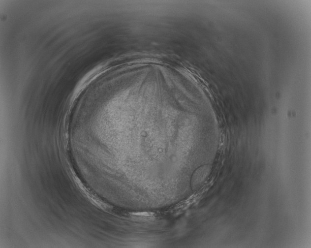 X0000084550053200703091730