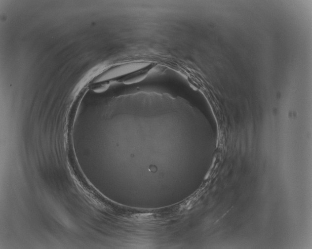 X0000084550054200703091730