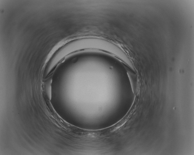 X0000084550056200703091730