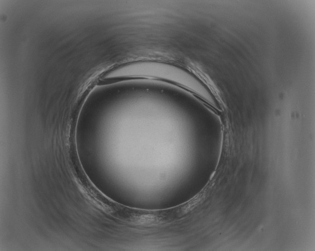 X0000084550058200703091730