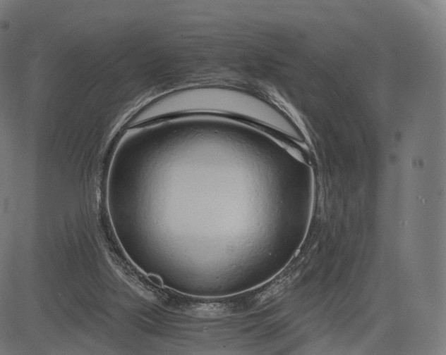 X0000084550059200703091730