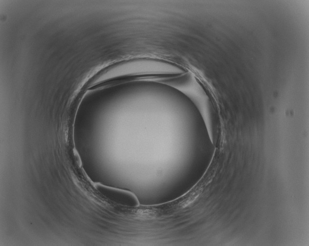 X0000084550060200703091730