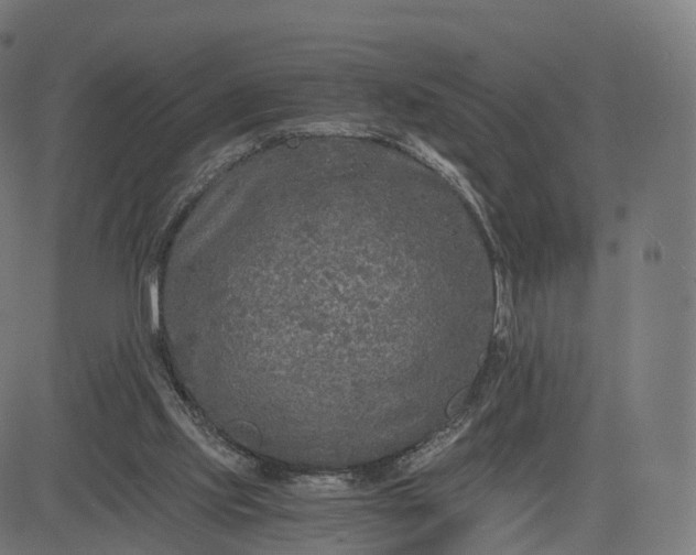 X0000084550061200703091730