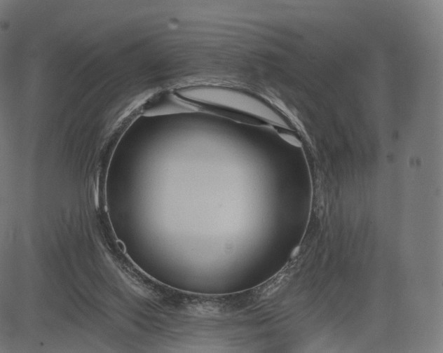 X0000084550062200703091730