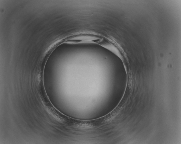 X0000084550063200703091730