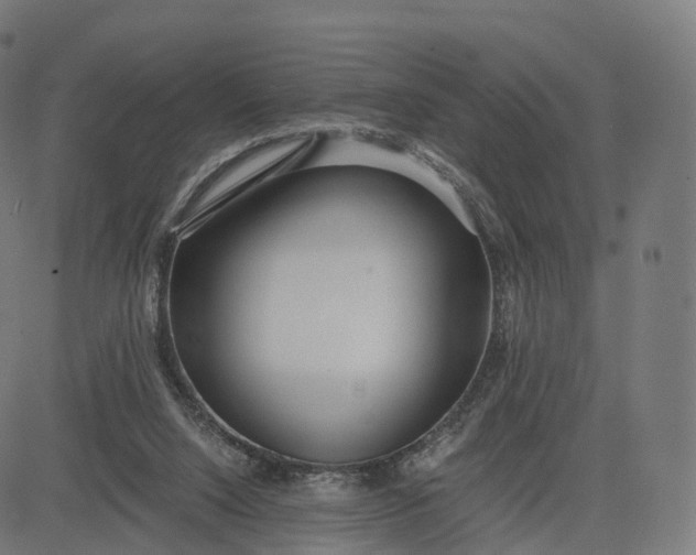 X0000084550064200703091730