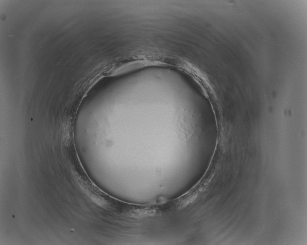 X0000084550065200703091730