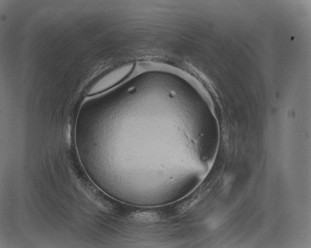 X0000084550067200703091730