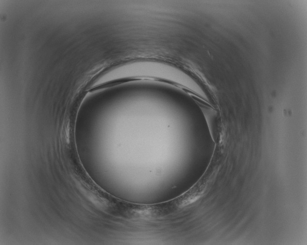 X0000084550068200703091730