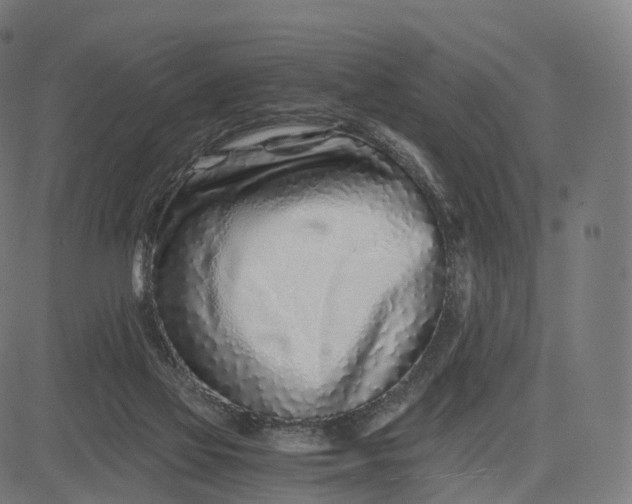 X0000084550069200703091730