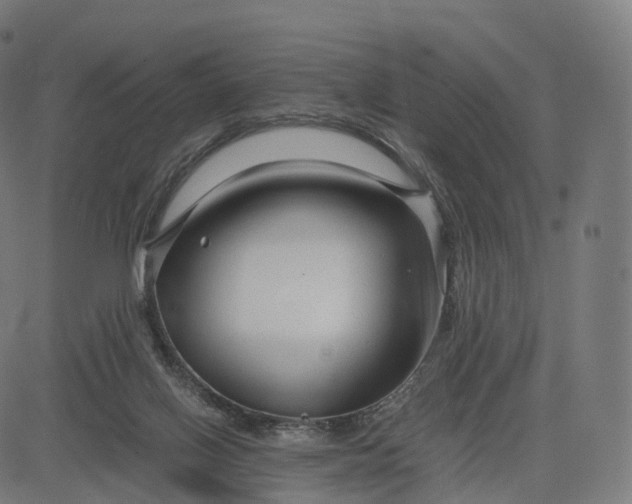 X0000084550070200703091730