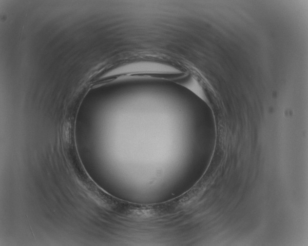 X0000084550071200703091730