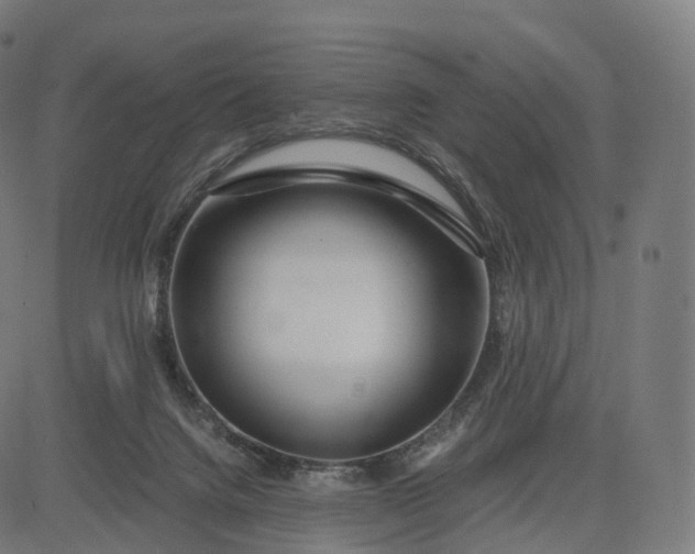 X0000084550072200703091730