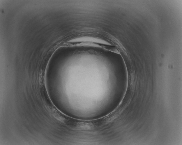 X0000084550073200703091730