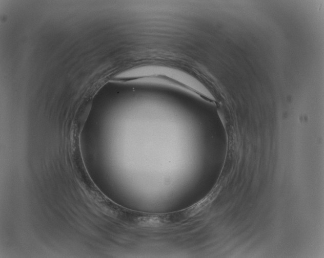 X0000084550074200703091730