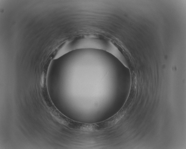 X0000084550076200703091730