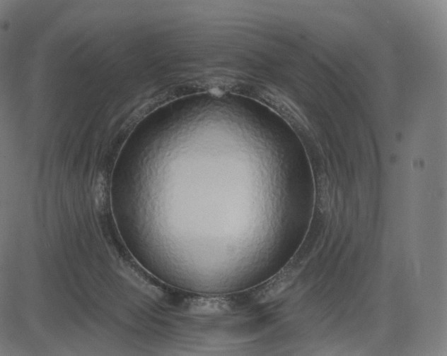 X0000084550077200703091730