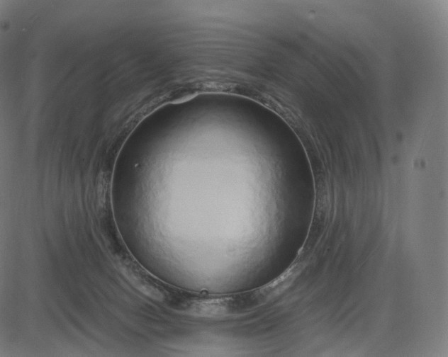 X0000084550078200703091730