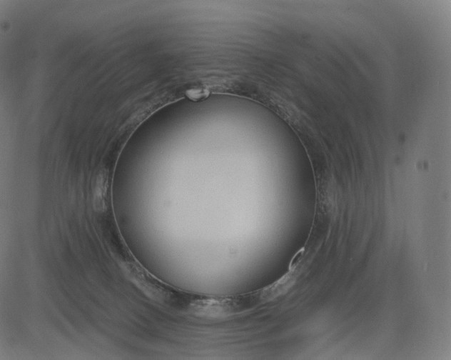 X0000084550082200703091730