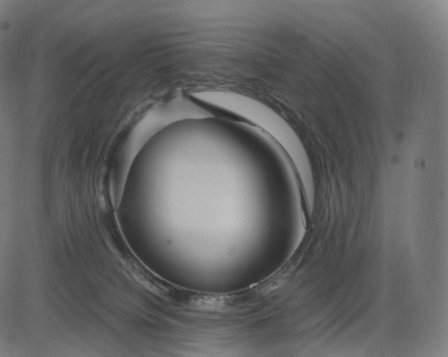 X0000084550084200703091730