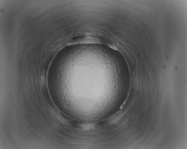 X0000084550085200703091730