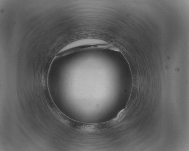 X0000084550086200703091730