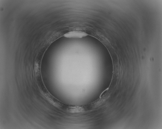 X0000084550087200703091730