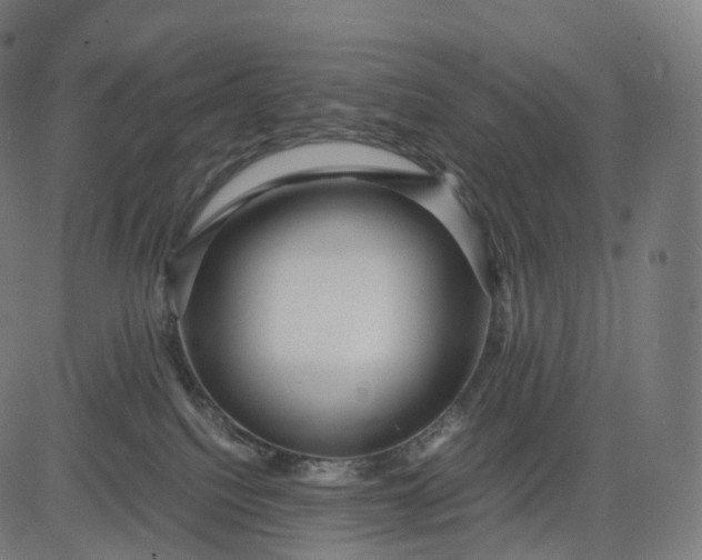 X0000084550088200703091730