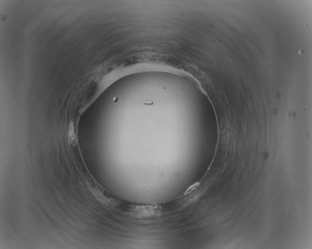 X0000084550089200703091730