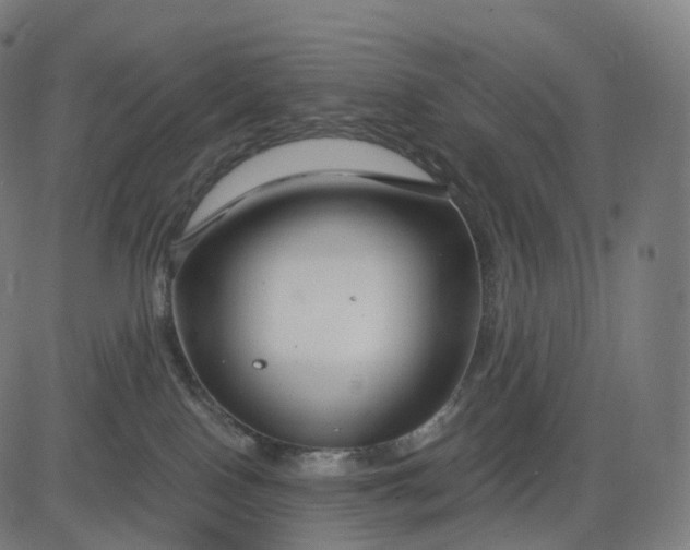 X0000084550090200703091730