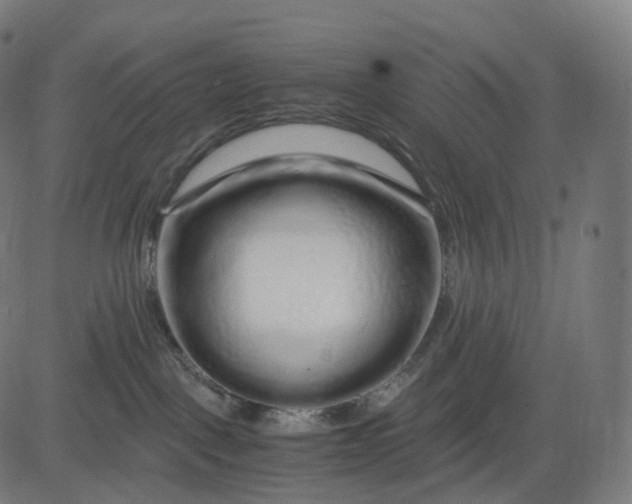 X0000084550093200703091730