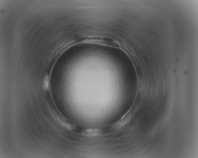 X0000084550095200703091730