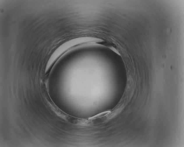 X0000084550096200703091730