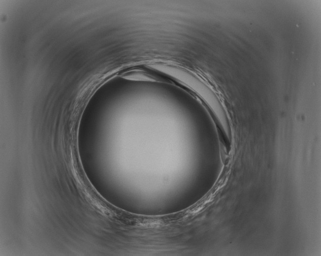 X0000084550097200703091730