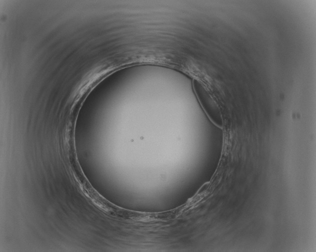 X0000084550098200703091730