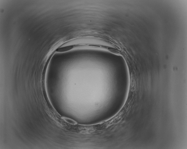 X0000084550099200703091730