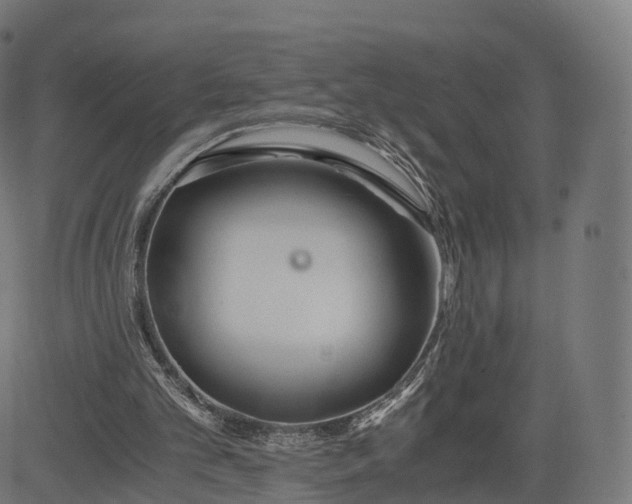 X0000084550101200703091730