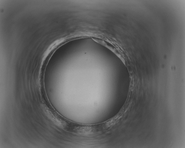 X0000084550104200703091730