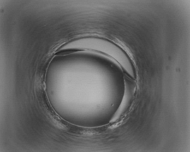 X0000084550105200703091730