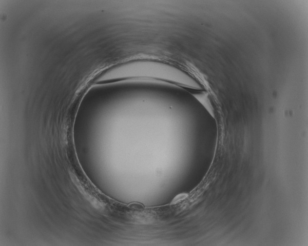 X0000084550106200703091730