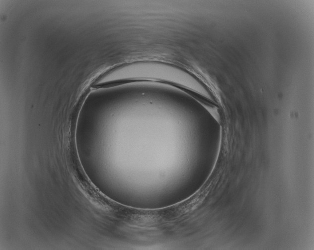 X0000084550107200703091730