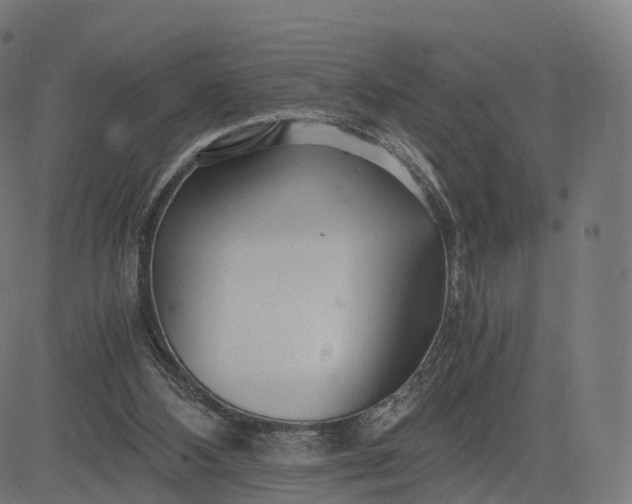 X0000084550108200703091729