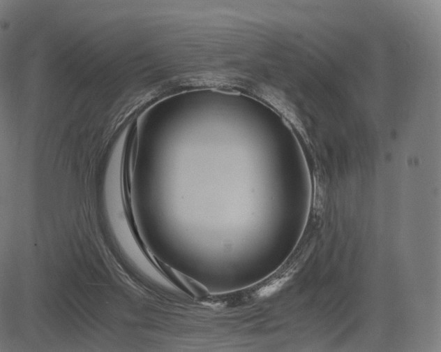 X0000084550109200703091729